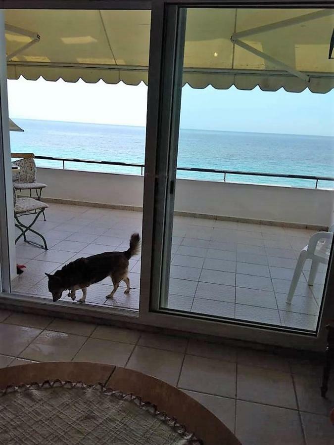 Seaside Beach House 시비리 외부 사진